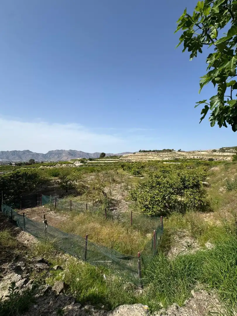 Finca rústica en venta en Rafal con Amueblado