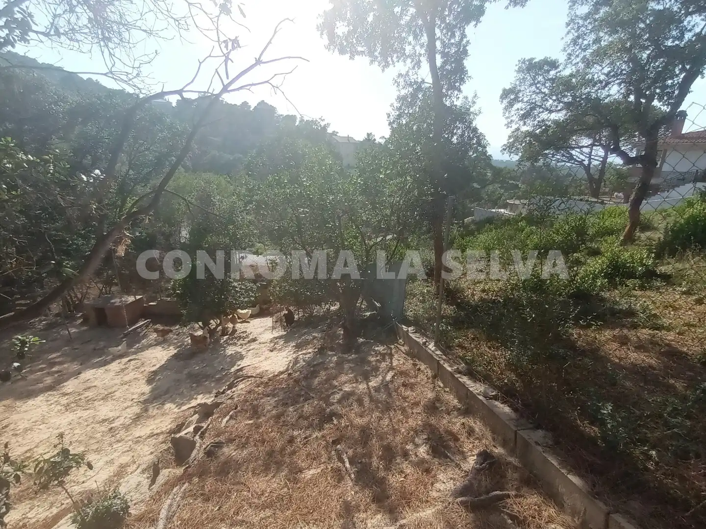 Residential land for sale in Montbarbat, imagen 5
