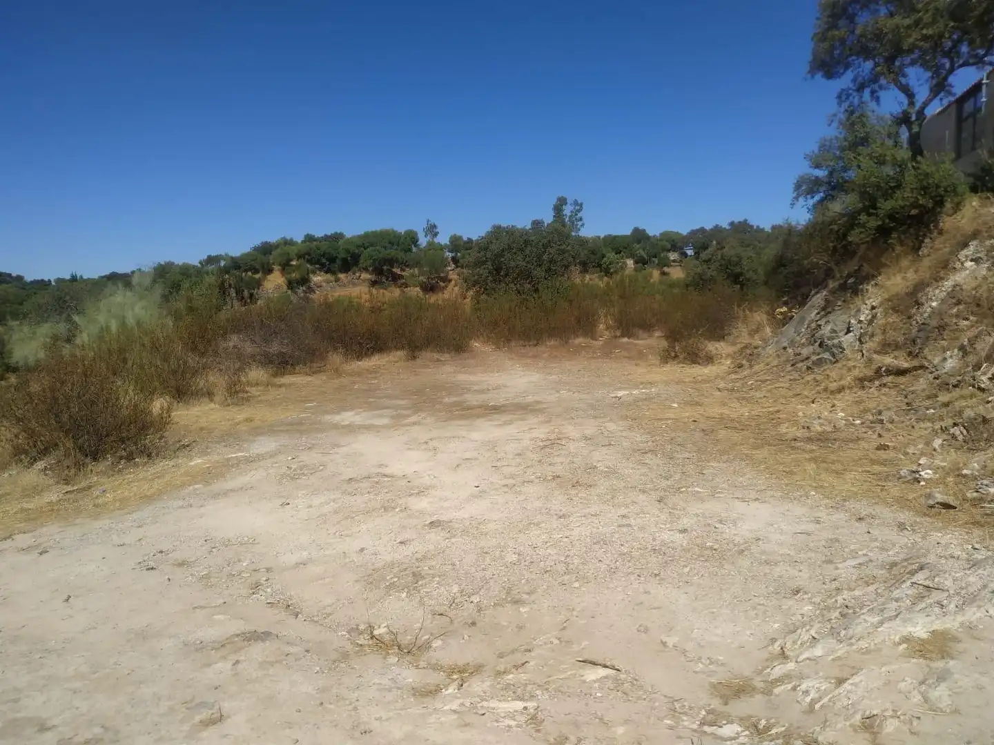 Terreny rústic en venda a Almodóvar del Río, imagen 5