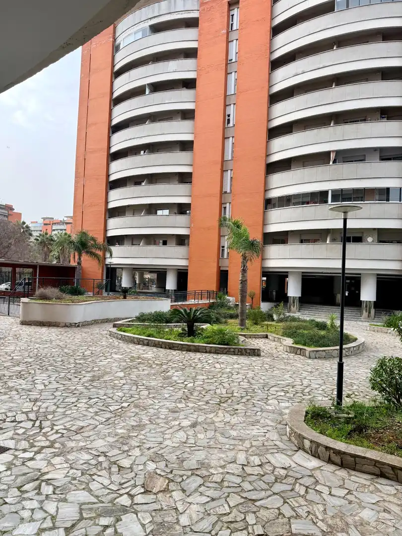 Vista exterior de Piso en venta en Bellavista - La Palmera