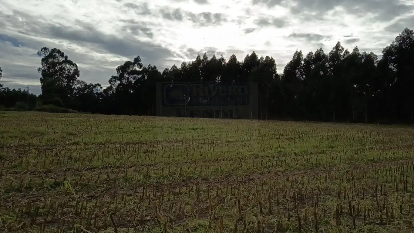 Terreno rústico en venta en Aldea Cabañas, imagen 30