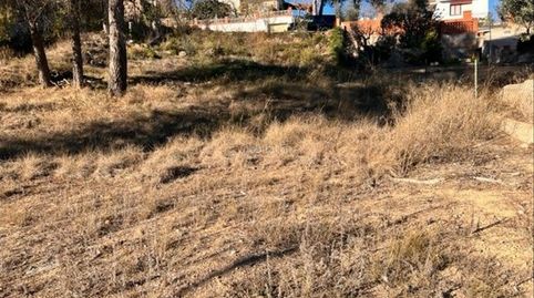 Terreno en el maset, masquefa, immagine 5