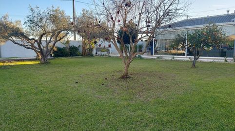 Photo 5 of Country homes for rent in Parque Atlántico - Ronda este, Jerez de la Frontera