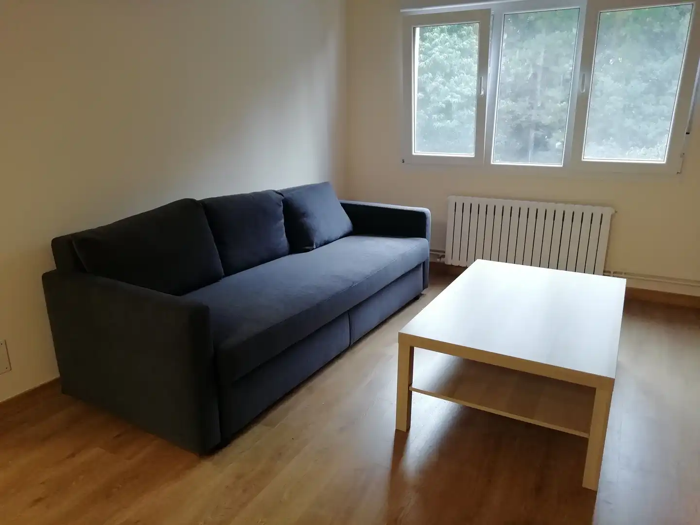 Sala d'estar de Apartament de lloguer en Lugo amb Calefacció, Parquet i Moblat
