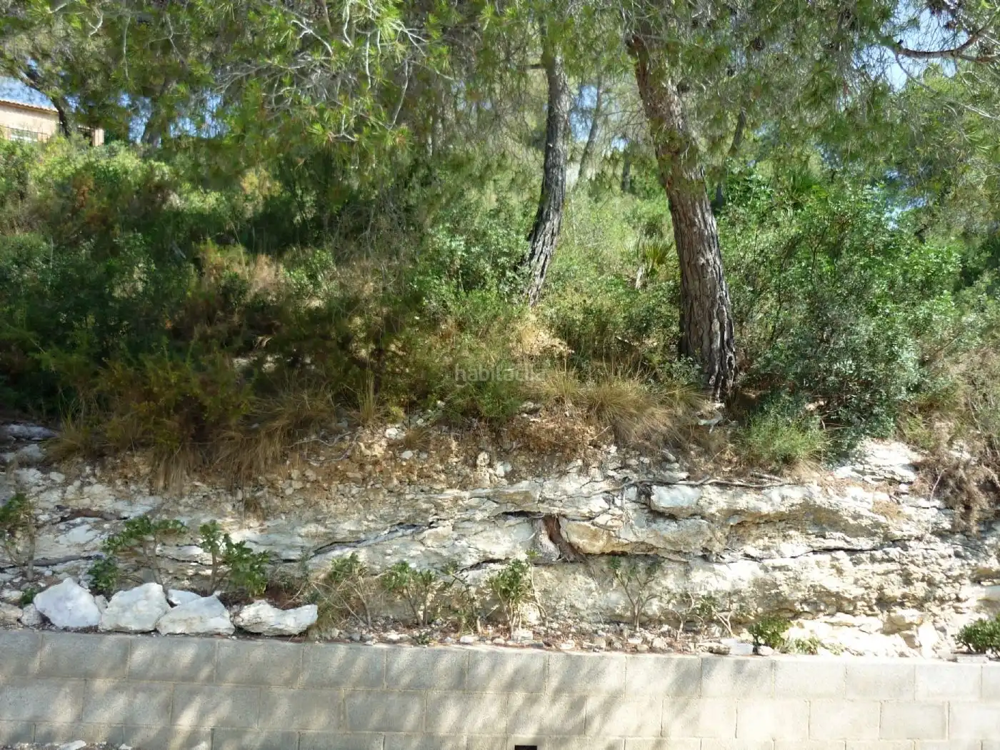Terreno residencial en venta en Carrer Farigola 4, imagen 21