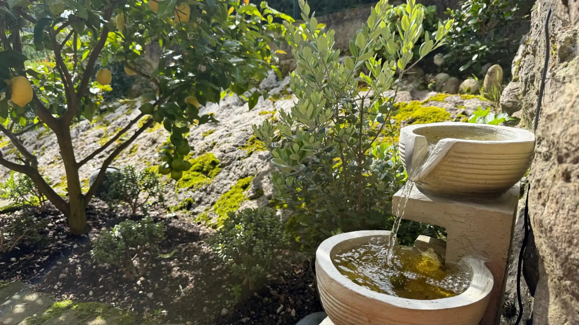 Jardí de Finca rústica en venda en Herrerías