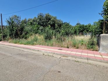 Terreni e lotti in vendita a Cubillos del Sil