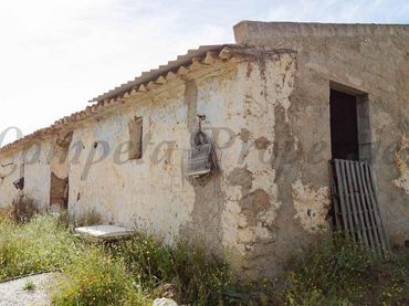 Terreno rústico en venta en Sedella