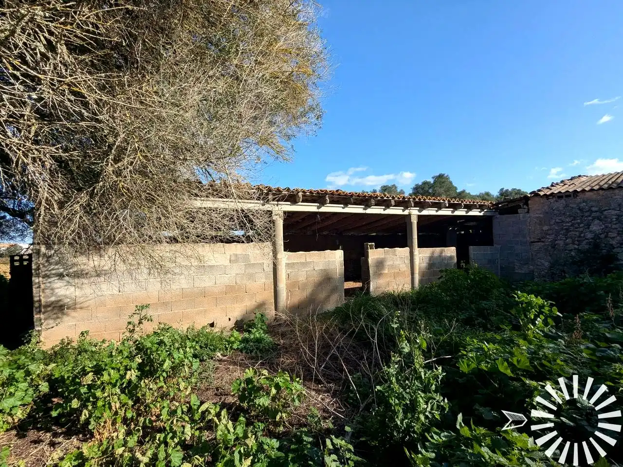 Terrain rustique à vendre à Cami de Son Pau, imagen 19