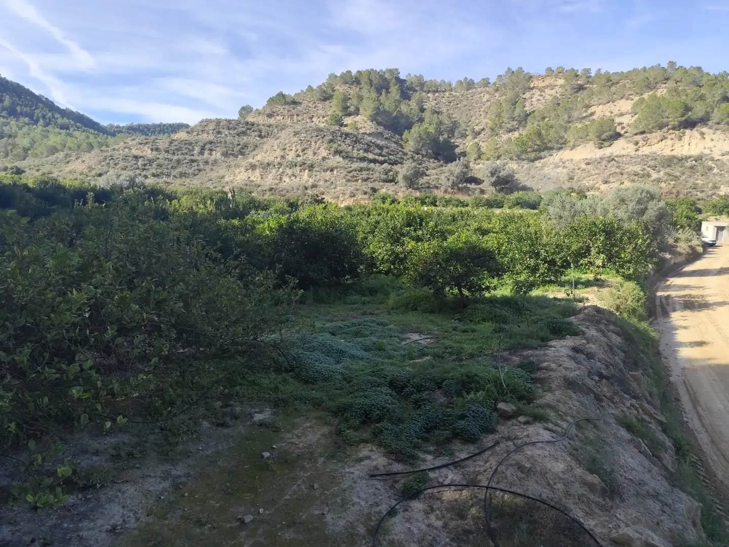 Terreny en venda en Murcia
