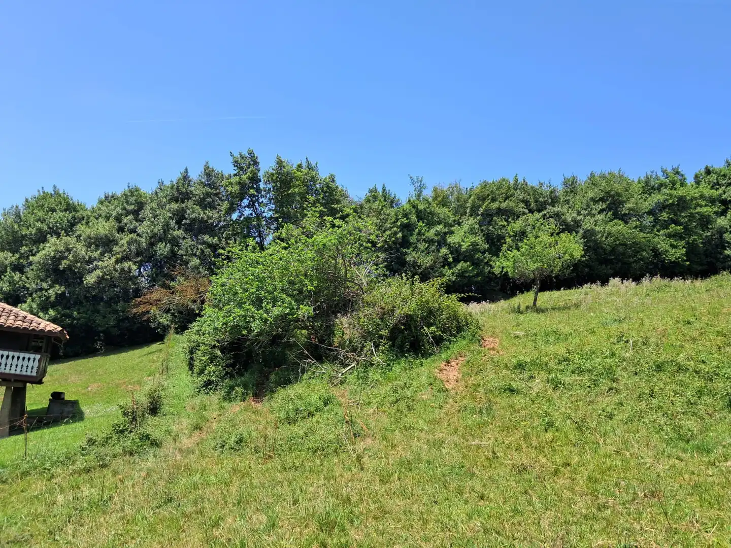 Residential for sale in Carreño