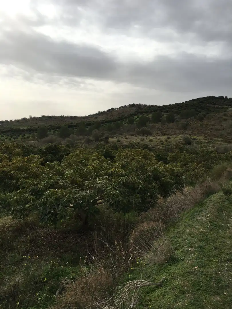 Terrenys i solars en venda a Molvízar, imagen 2