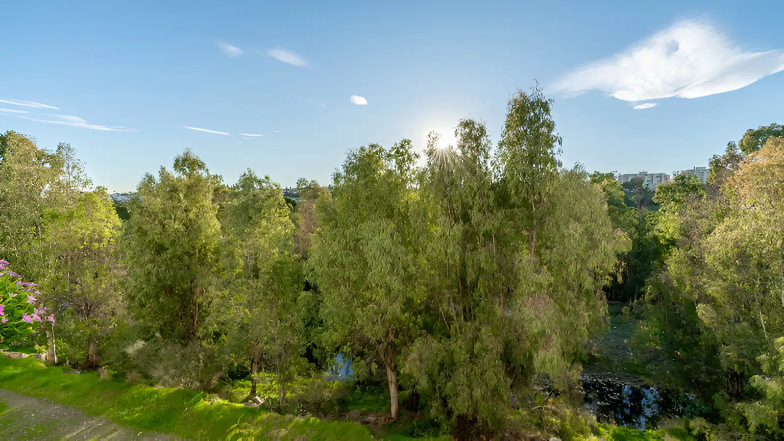 Apartment with pool for sale in San Pedro de Alcántara, imagen 28