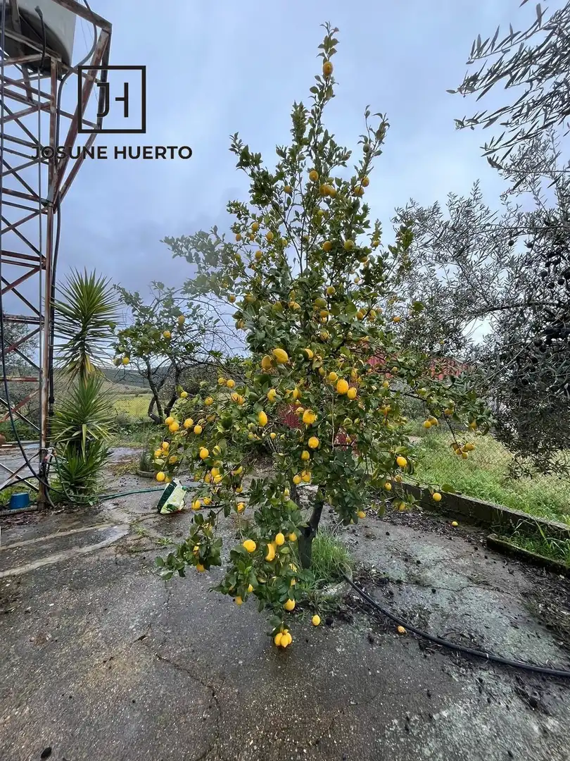 Jardín de Finca rústica en venta en Quintana de la Serena con Calefacción y Jardín privado