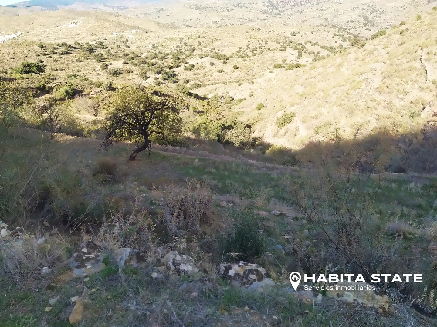 Land for sale in Benizalón