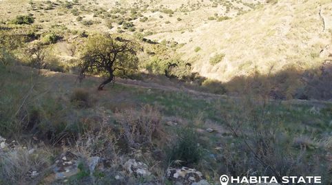 SE VENDE FINCA EN BENIZALÓN, imatge 5