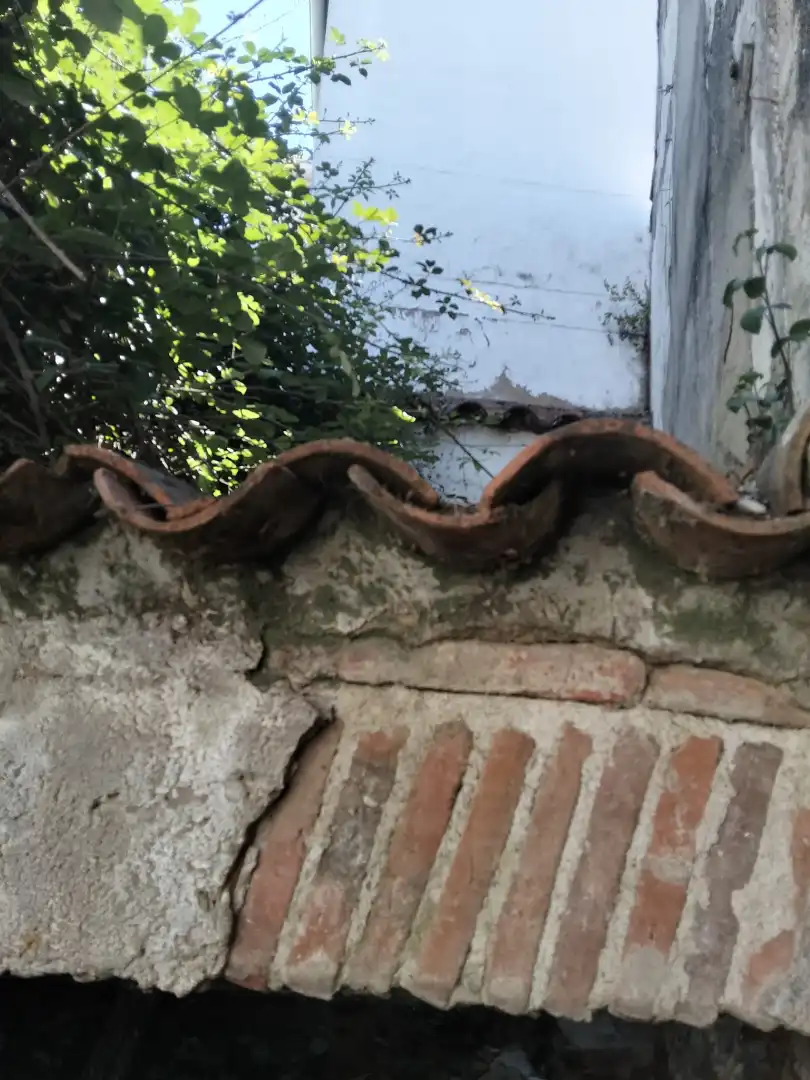 Vista exterior de Casa adosada en venda en Jabugo amb Jardí privat i Balcó