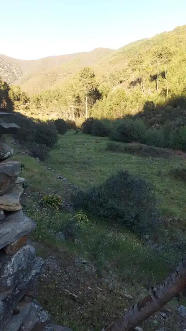 Piso en venta en Pinofranqueado, Cáceres