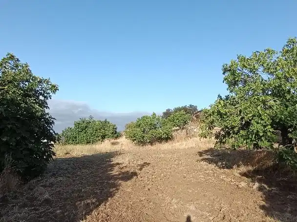 Residencial en venda en Barcarrota
