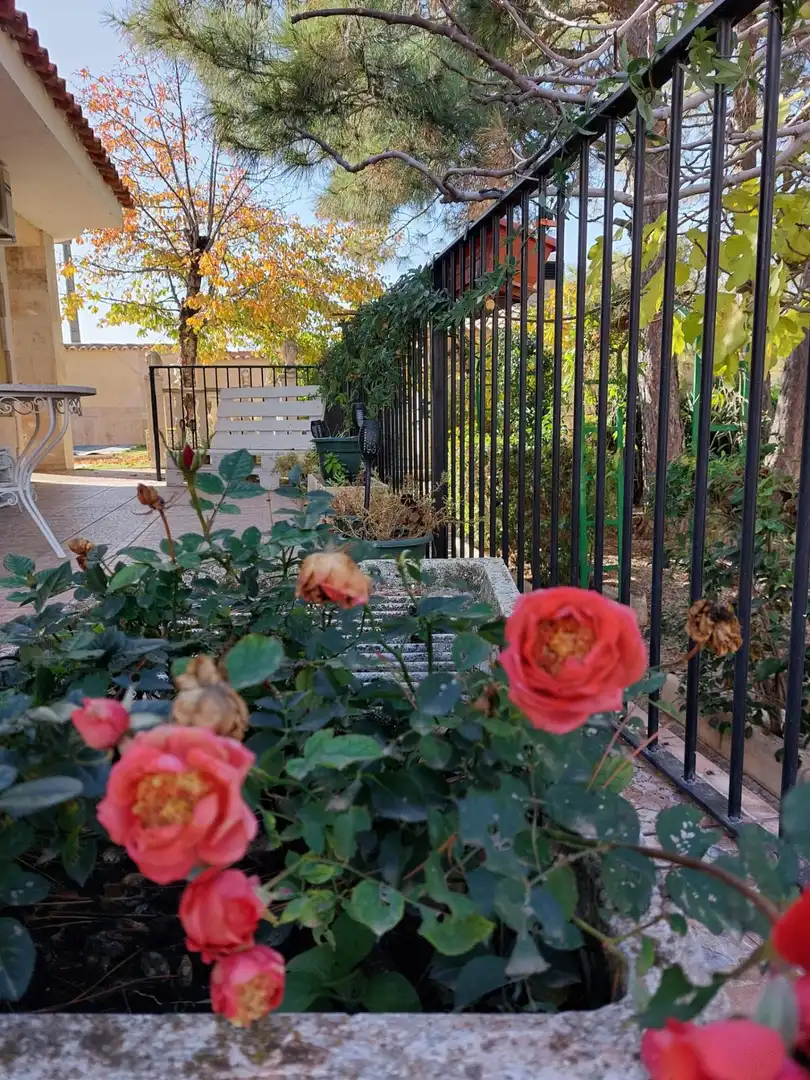Jardí de Finca rústica en venda en La Almarcha  amb Calefacció, Jardí privat i Piscina