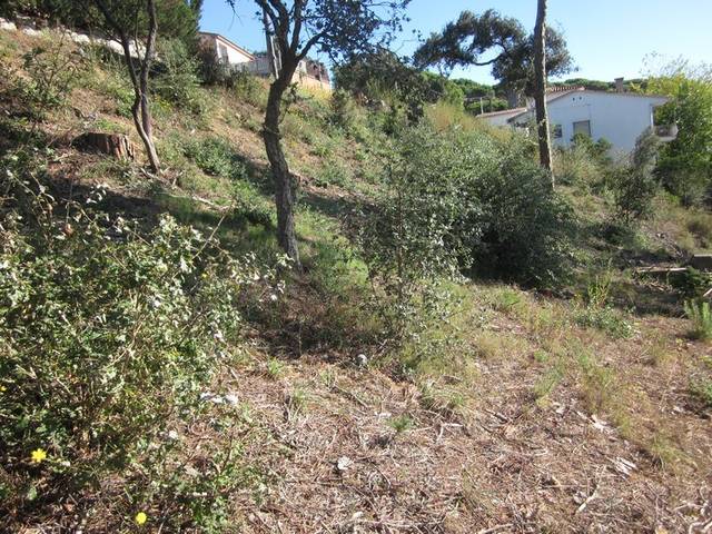 Terreno en Venta en Terrafortuna - Puig Ventós