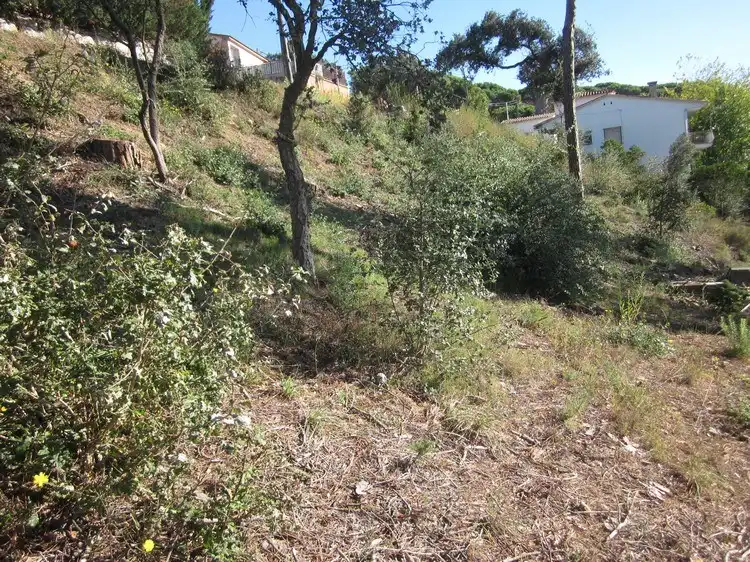Terreno rústico en venta en Terrafortuna - Puig Ventós