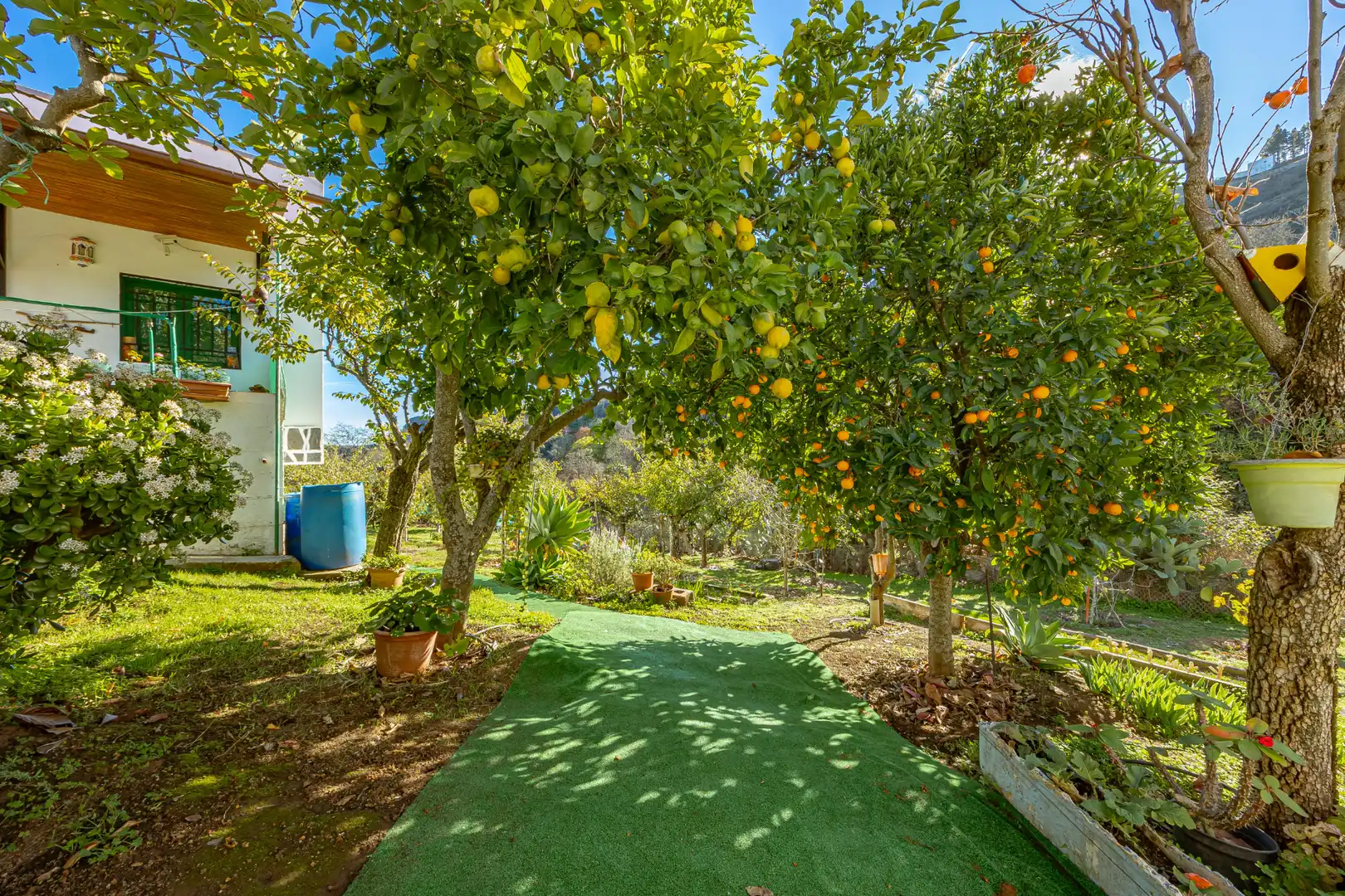 Jardí de Casa o xalet en venda en Sant Mateu amb Jardí privat