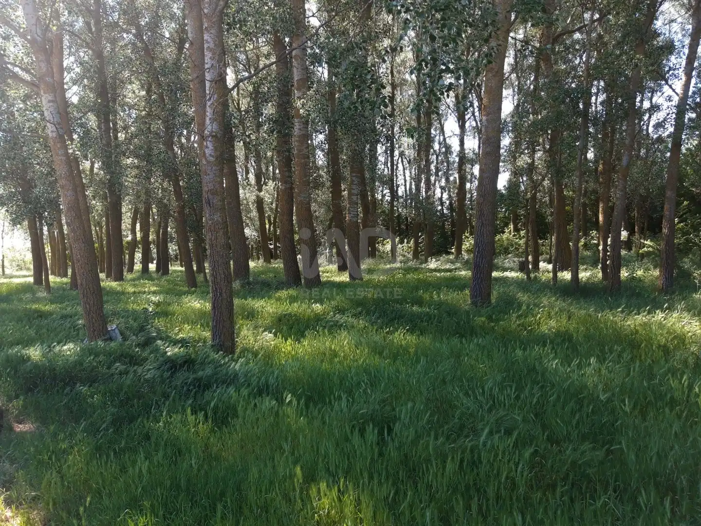 Terreno en venta en Aguilar de Campos