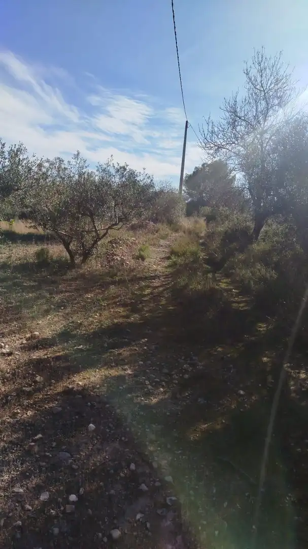 Terreno residencial en venta en L'Olleria, imagen 7