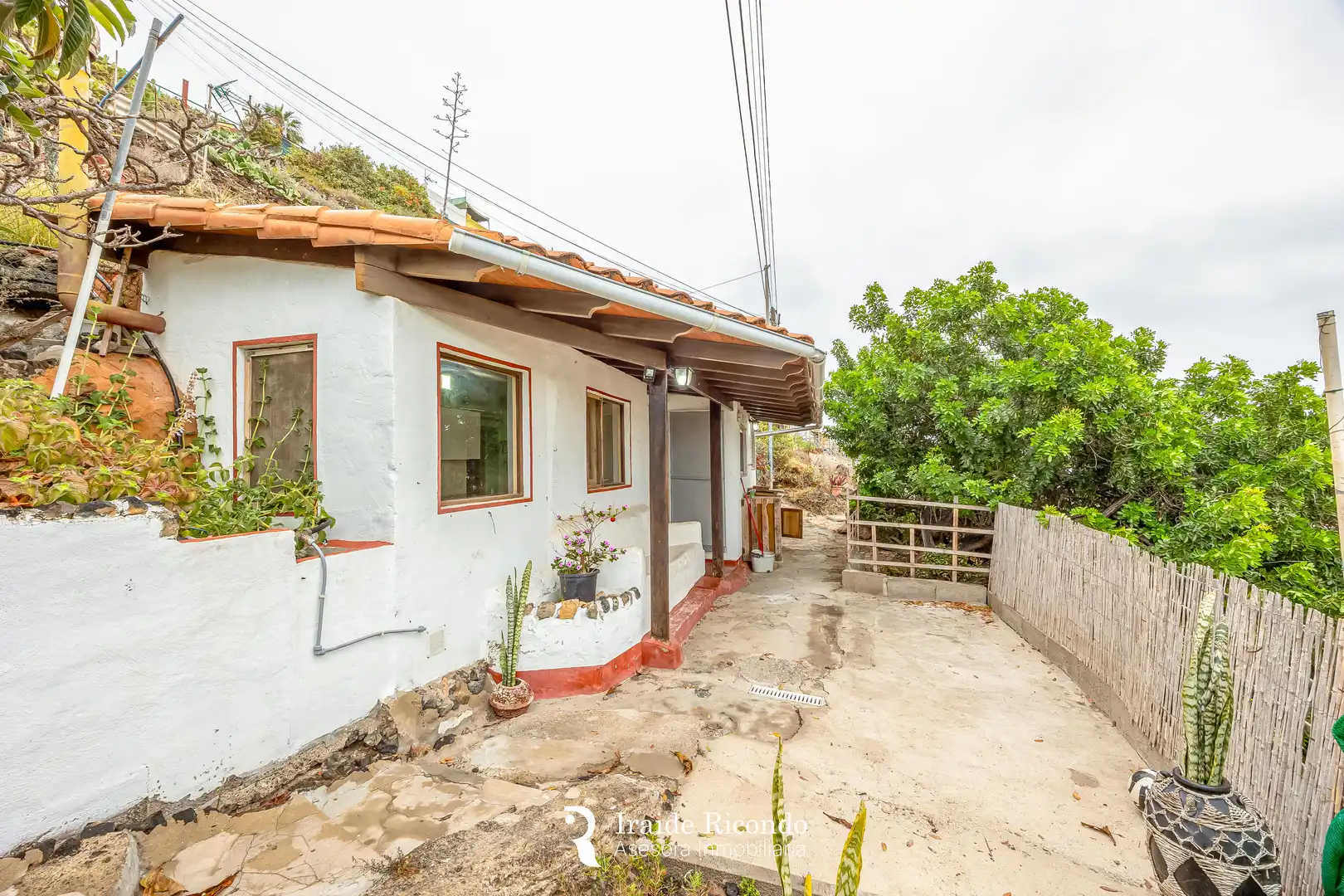 Vista exterior de Casa o xalet en venda en Arucas