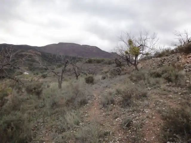 Terrenys i solars en venda a Paraje Vallota, imagen 10