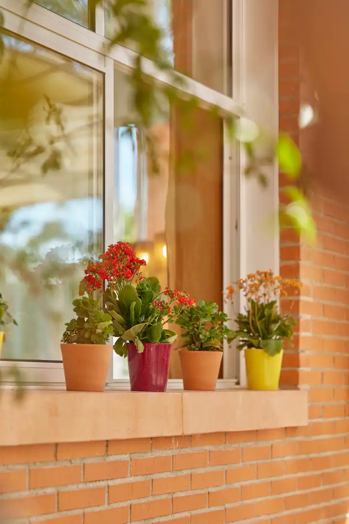 Terrassa de Apartament en venda en L'Alfàs del Pi