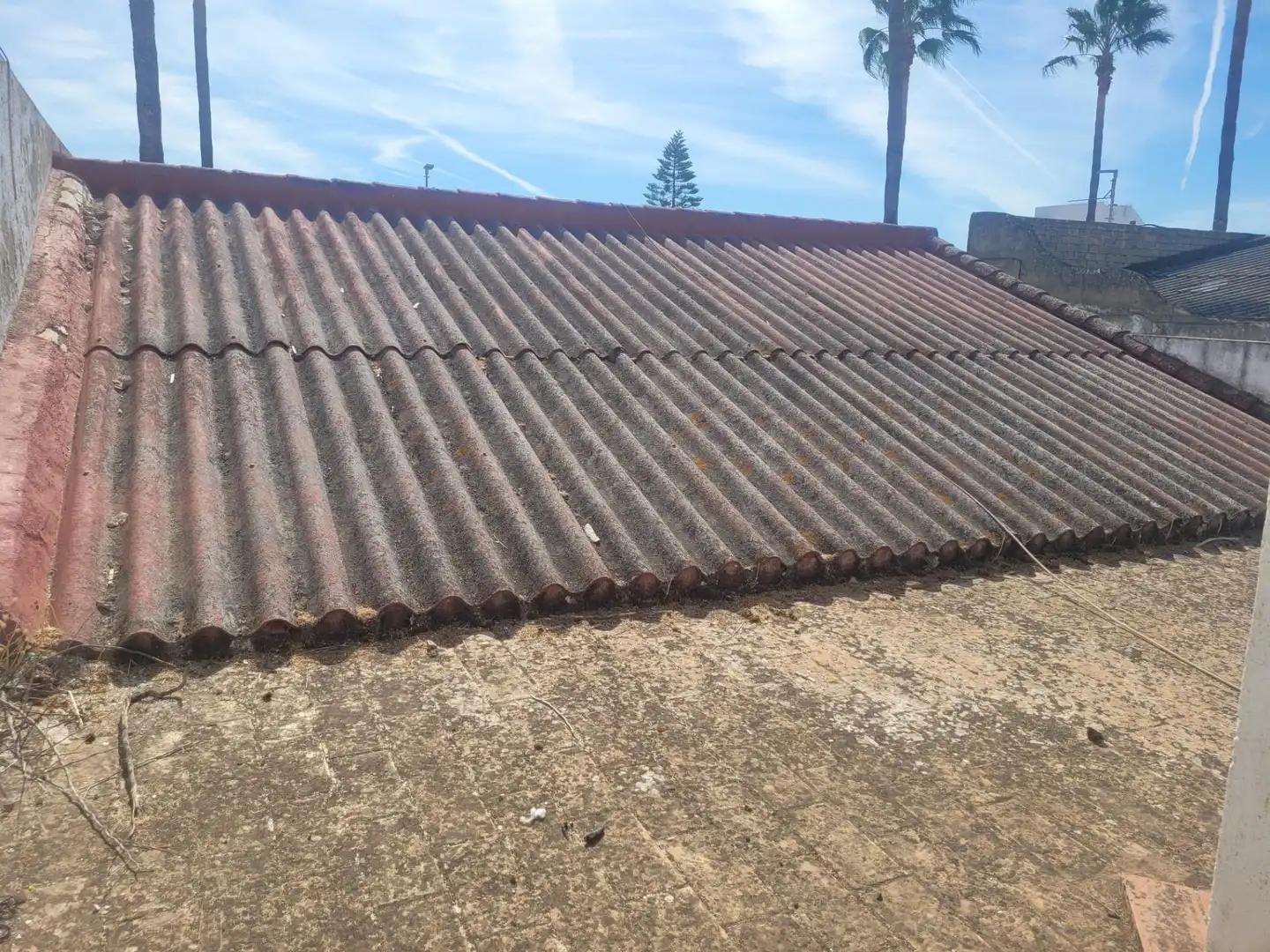 Vista exterior de Casa o xalet en venda en Tocina