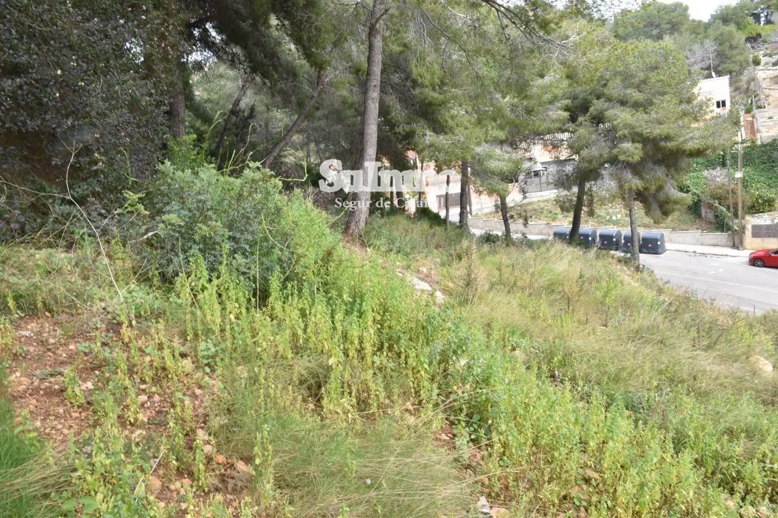 Rural land for sale in GLADIOL, imagen 5