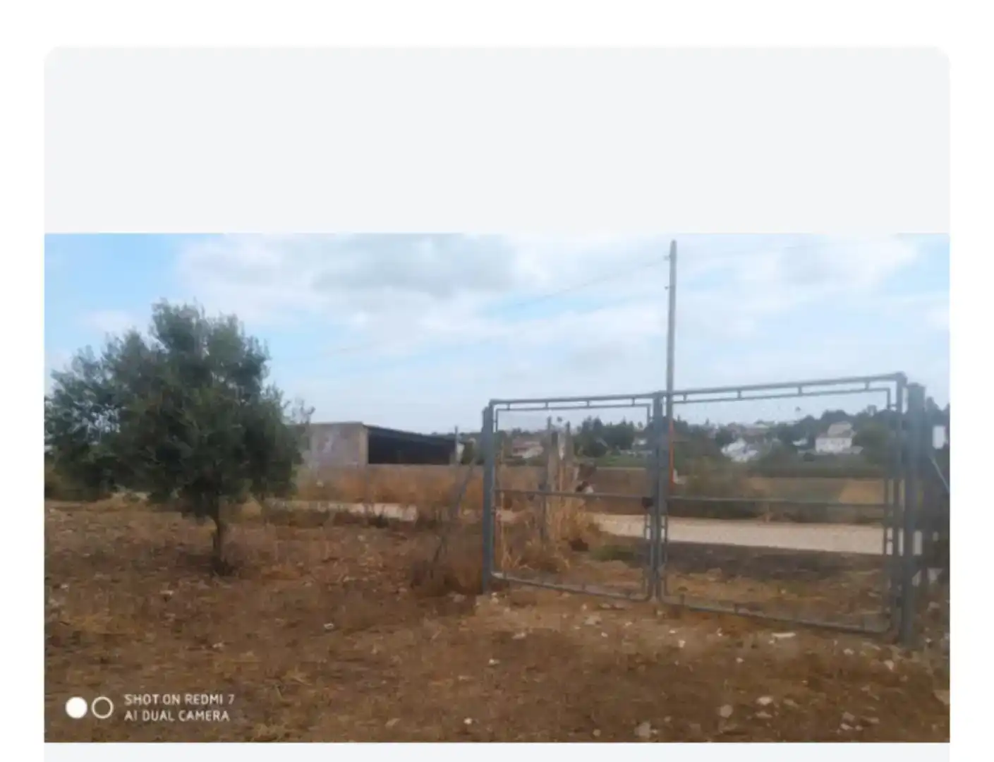 Finca rústica en venda en Almendralejo