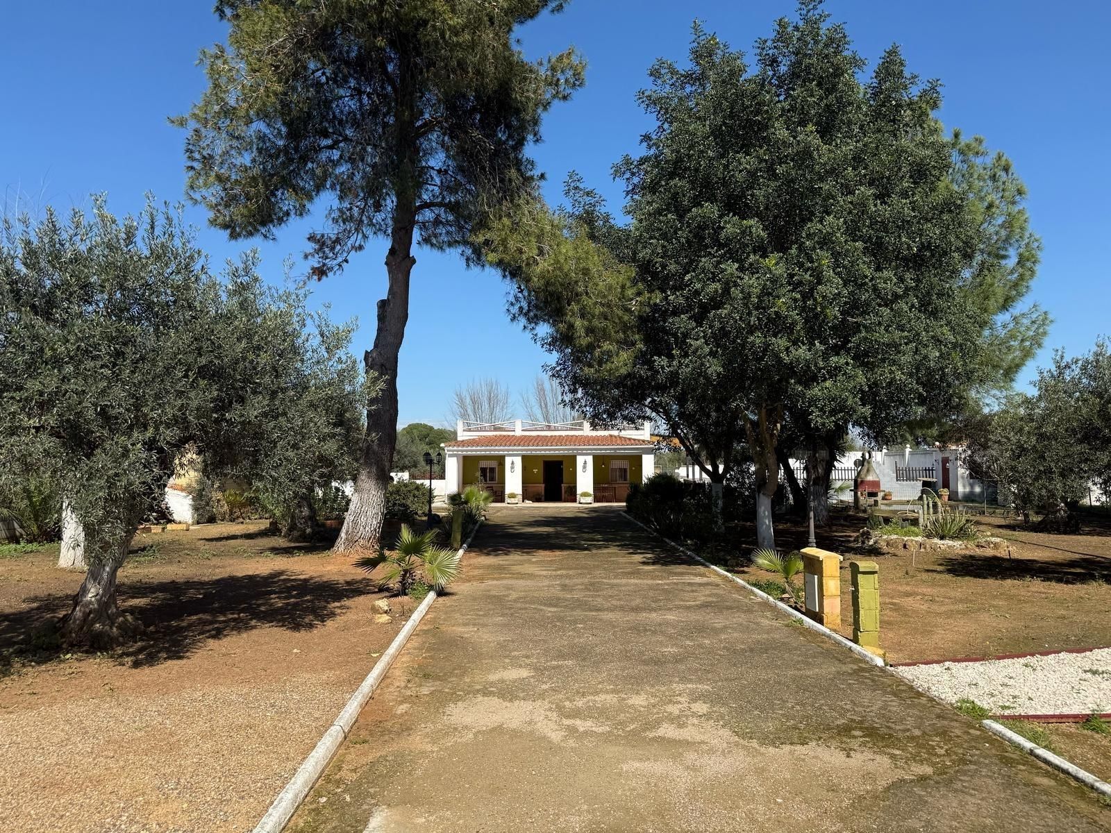 Exterior view of Country house for sale in Utrera  with Air Conditioner, Private garden and Swimming Pool