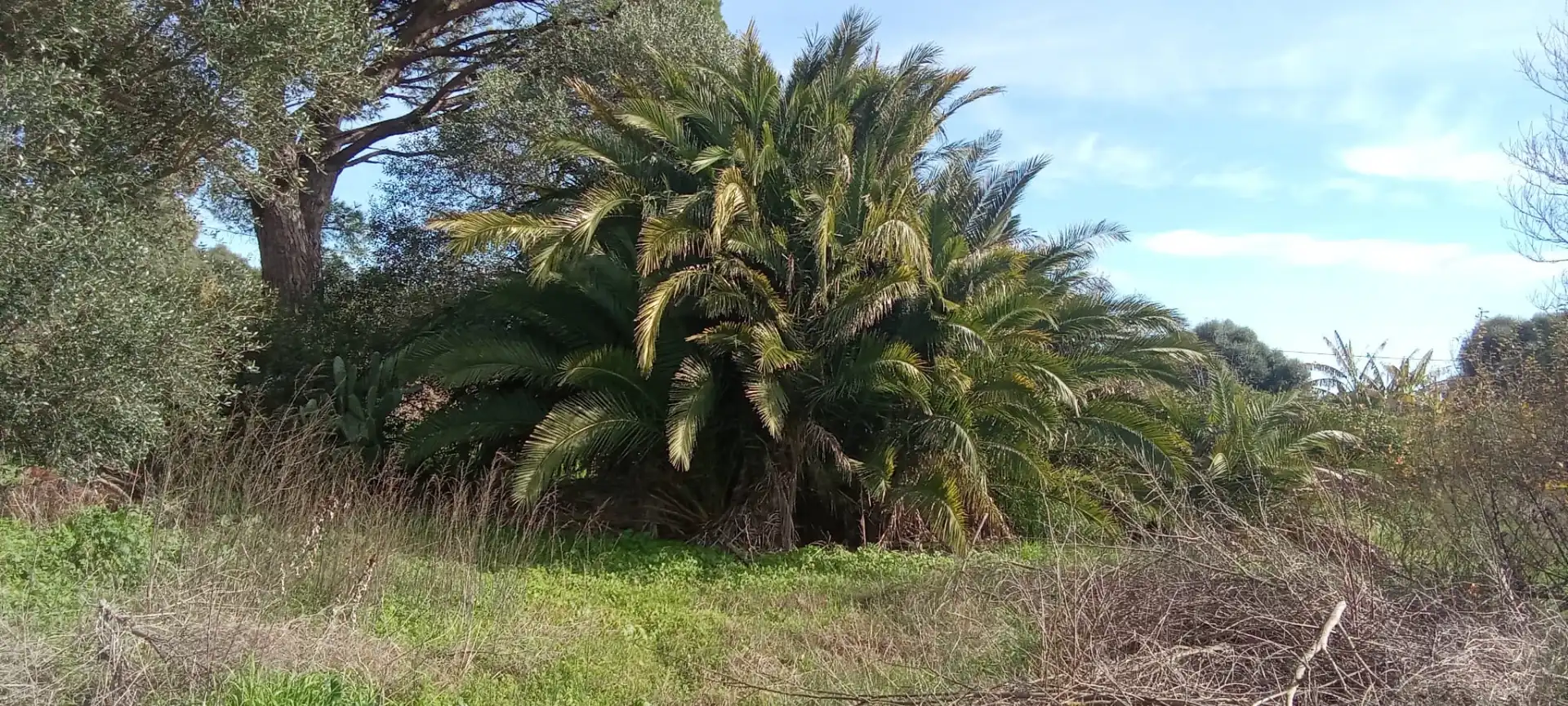 Casa rústica en venda a Vejer, imagen 5
