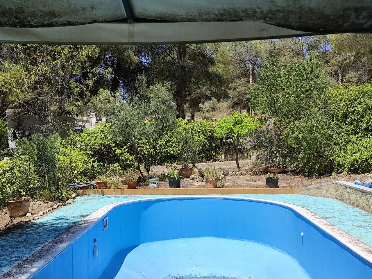 Piscina de Finca rústica en venta en Tibi con Piscina