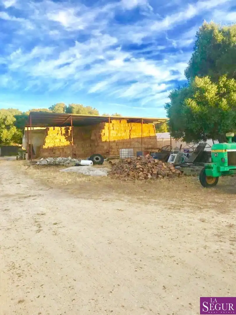 Casa rústica amb piscina en venda a Medina Sidonia, imagen 9