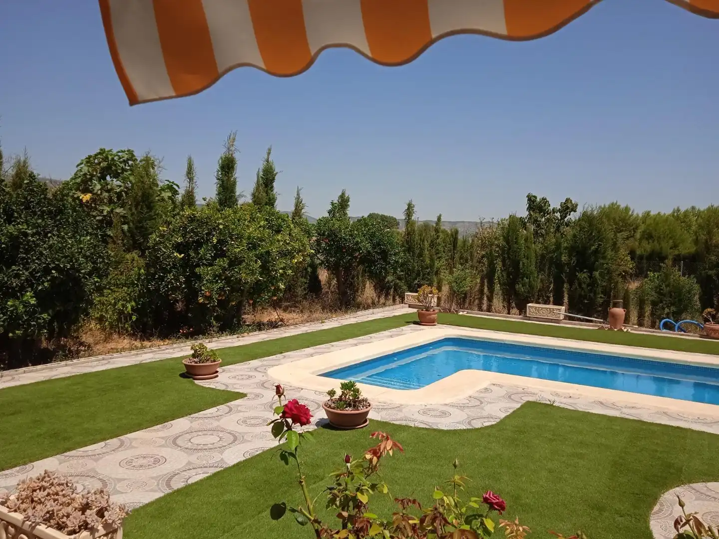 Piscina de Finca rústica en venda en Alhama de Murcia amb Jardí privat i Piscina