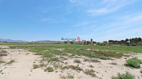Photo 5 of Land for sale in Corazón de María, Lorca