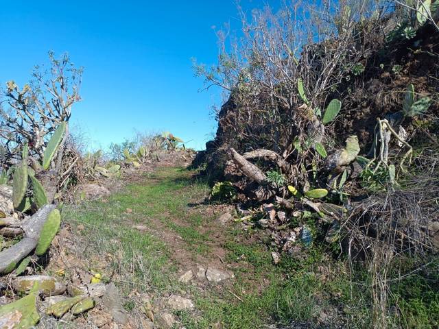 Terreno en Venta en Santa María de Guía de Gran Canaria