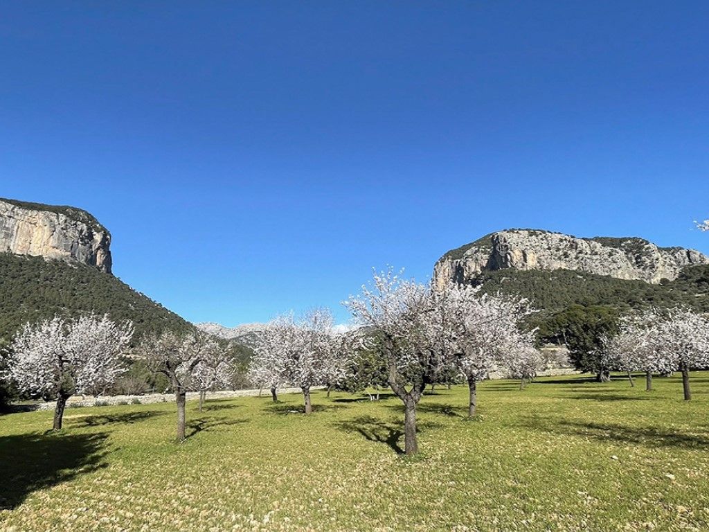 Garden of Residential for sale in Consell