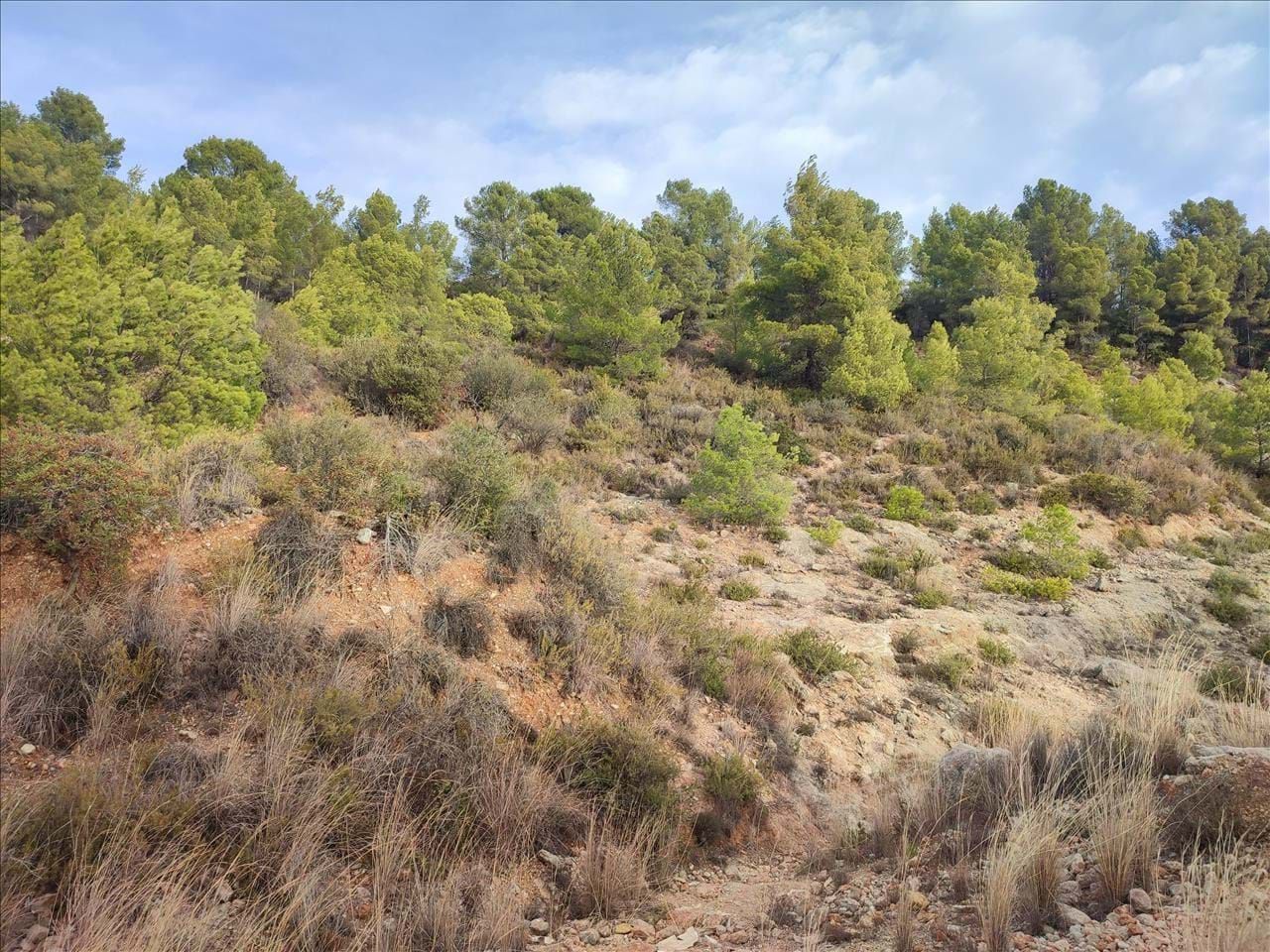 Residencial en venda en L'Atzúbia