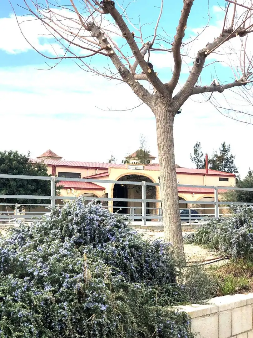 Casa rústica con terraza en venta en Partidas de Alicante, imagen 6
