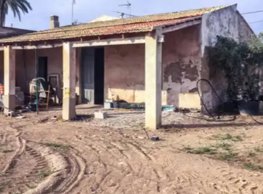 Exterior view of Houses for sale in Elche / Elx