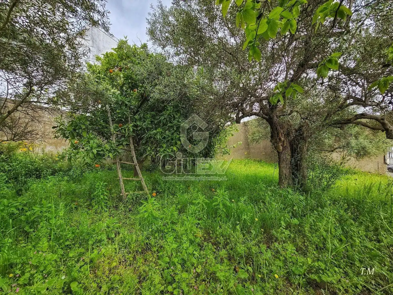 Houses for sale in Perales del Puerto  with Heating, Private garden and Terrace