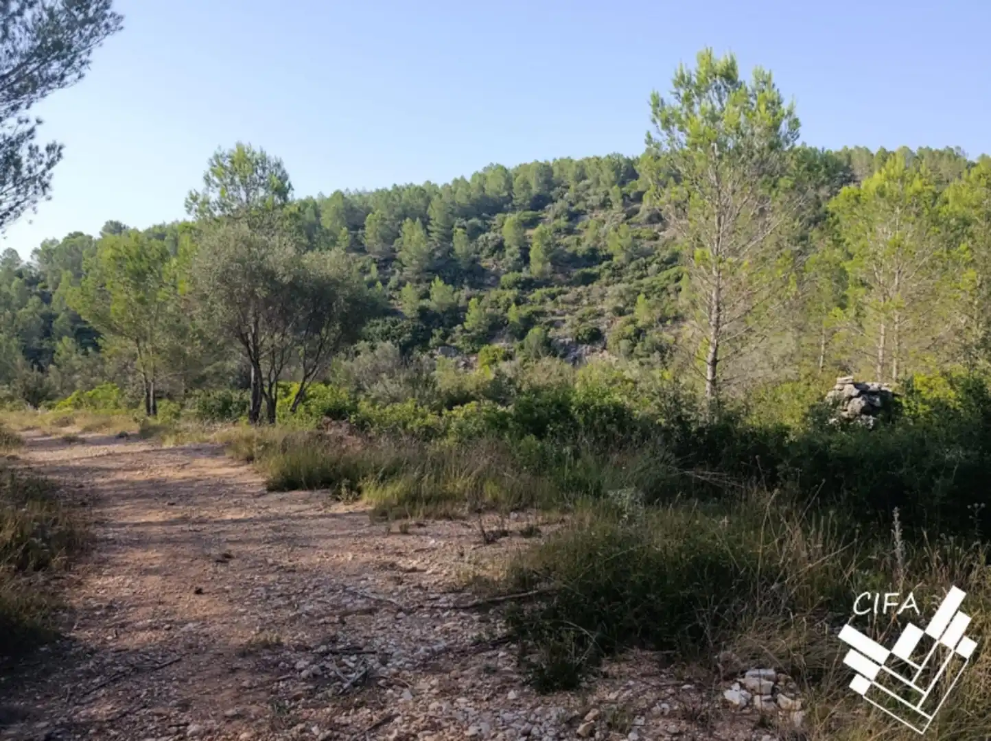 Terreno en venta en Sant Mateu