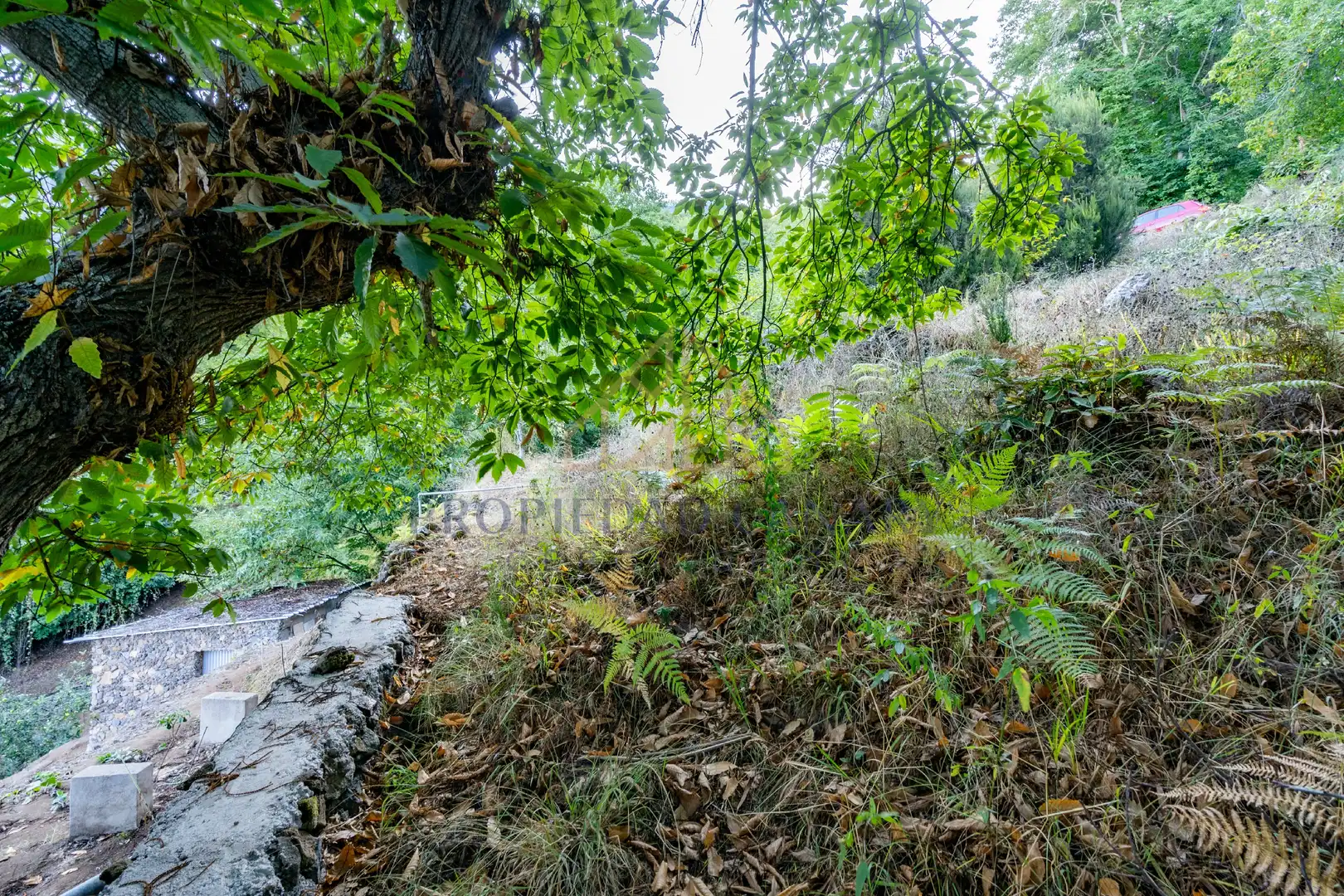 Terreno rustico in vendita a Camino la Candelaria 2A, imagen 19