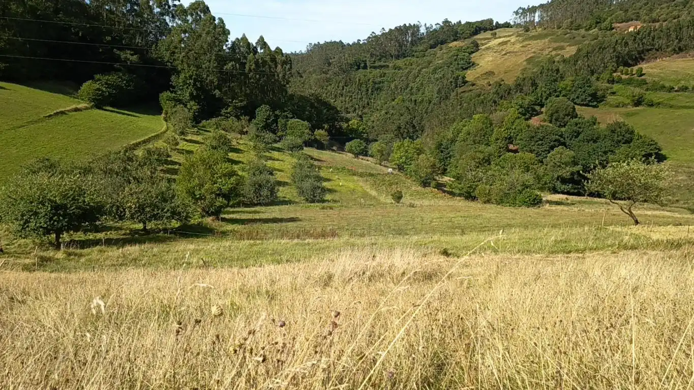 Grundstücke und Bauplätze zum Verkauf in Aldea Argañosa, imagen 16